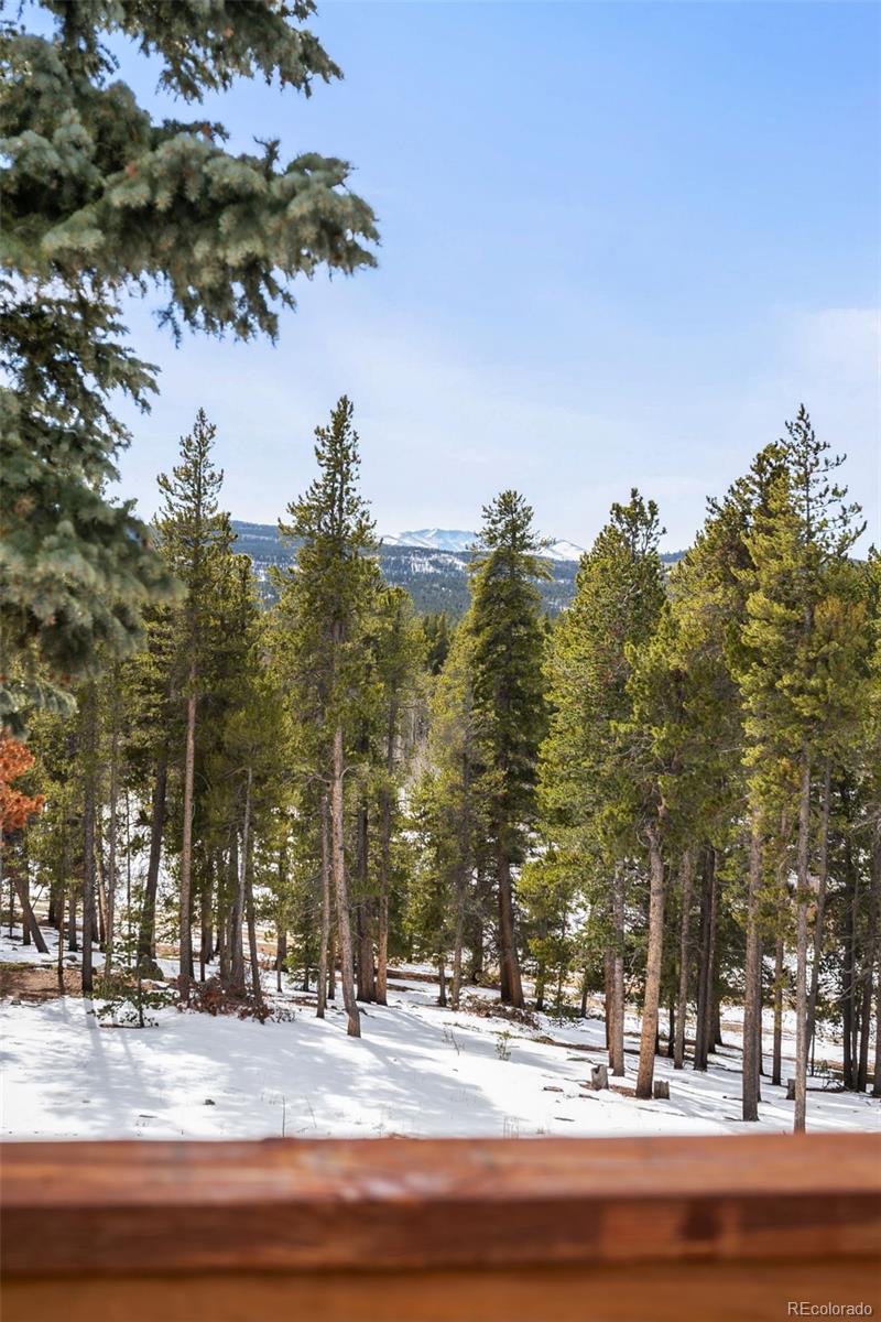 MLS Image #34 for 902  bear mountain road,black hawk, Colorado