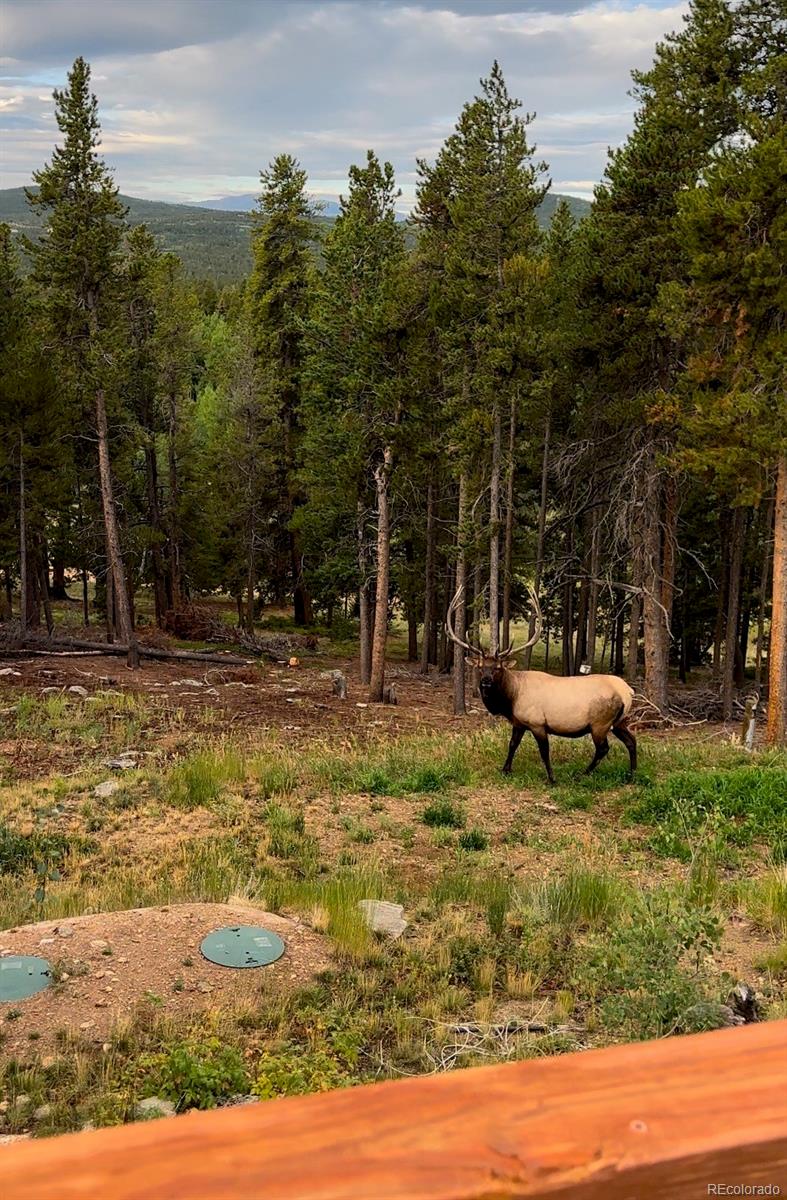 MLS Image #39 for 902  bear mountain road,black hawk, Colorado