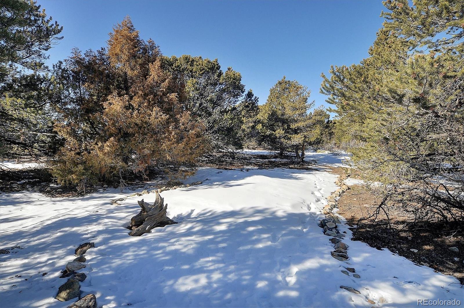 MLS Image #37 for 13419  elk trail,salida, Colorado