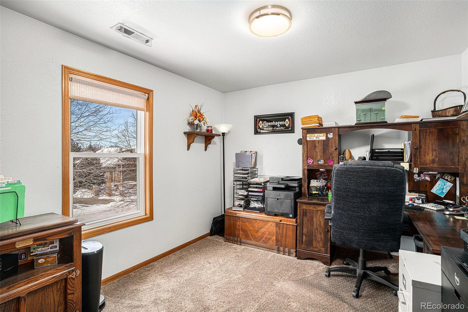 MLS Image #22 for 580  mount massive street,berthoud, Colorado