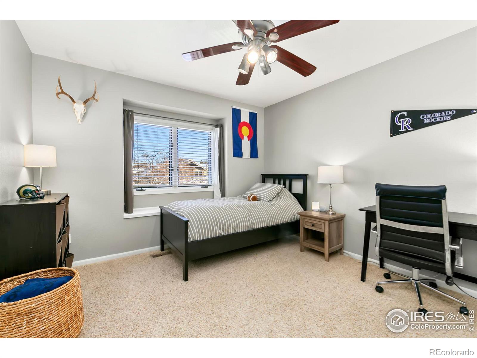 MLS Image #14 for 3707  rochdale drive,fort collins, Colorado