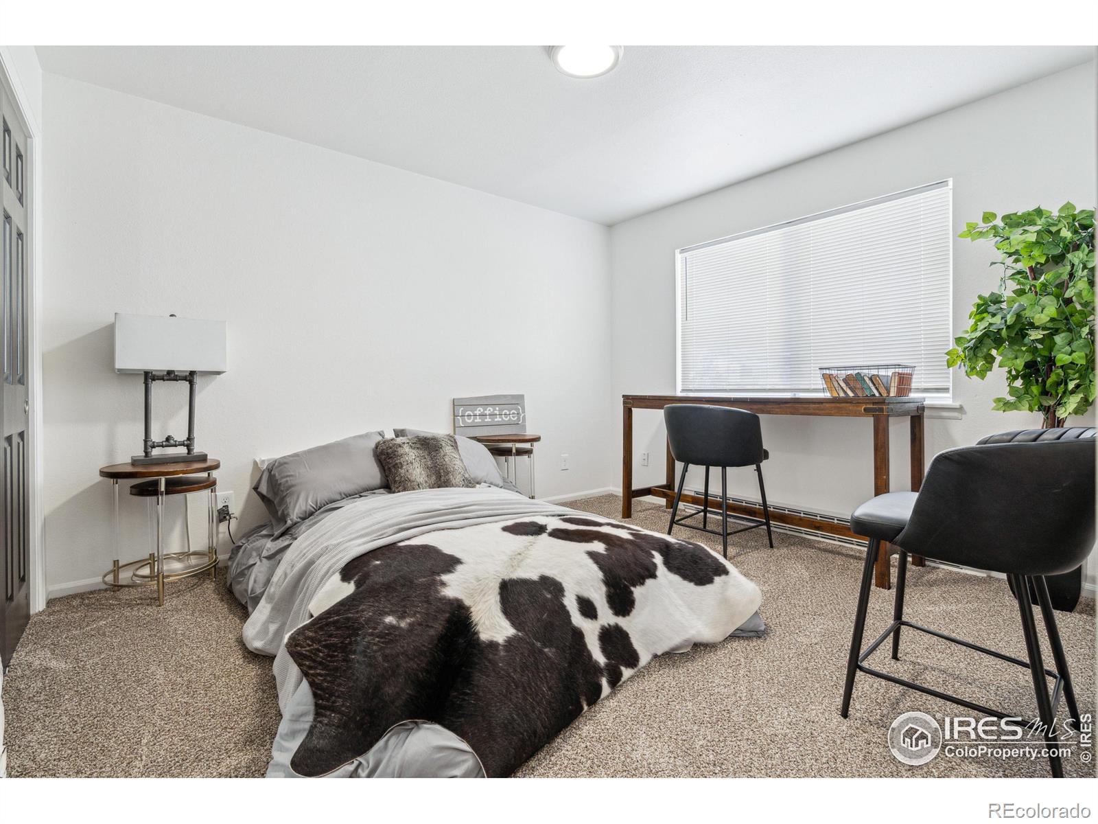 MLS Image #10 for 2408  orchard place,fort collins, Colorado