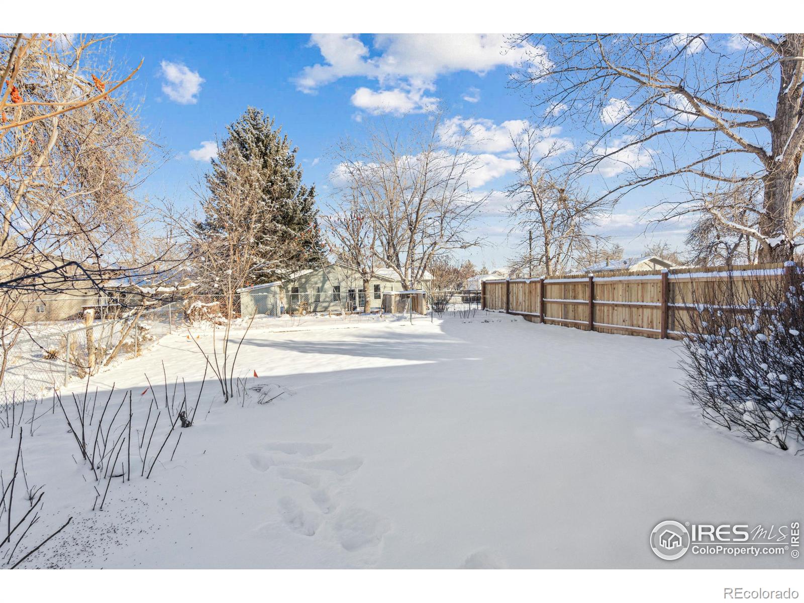 MLS Image #26 for 2408  orchard place,fort collins, Colorado