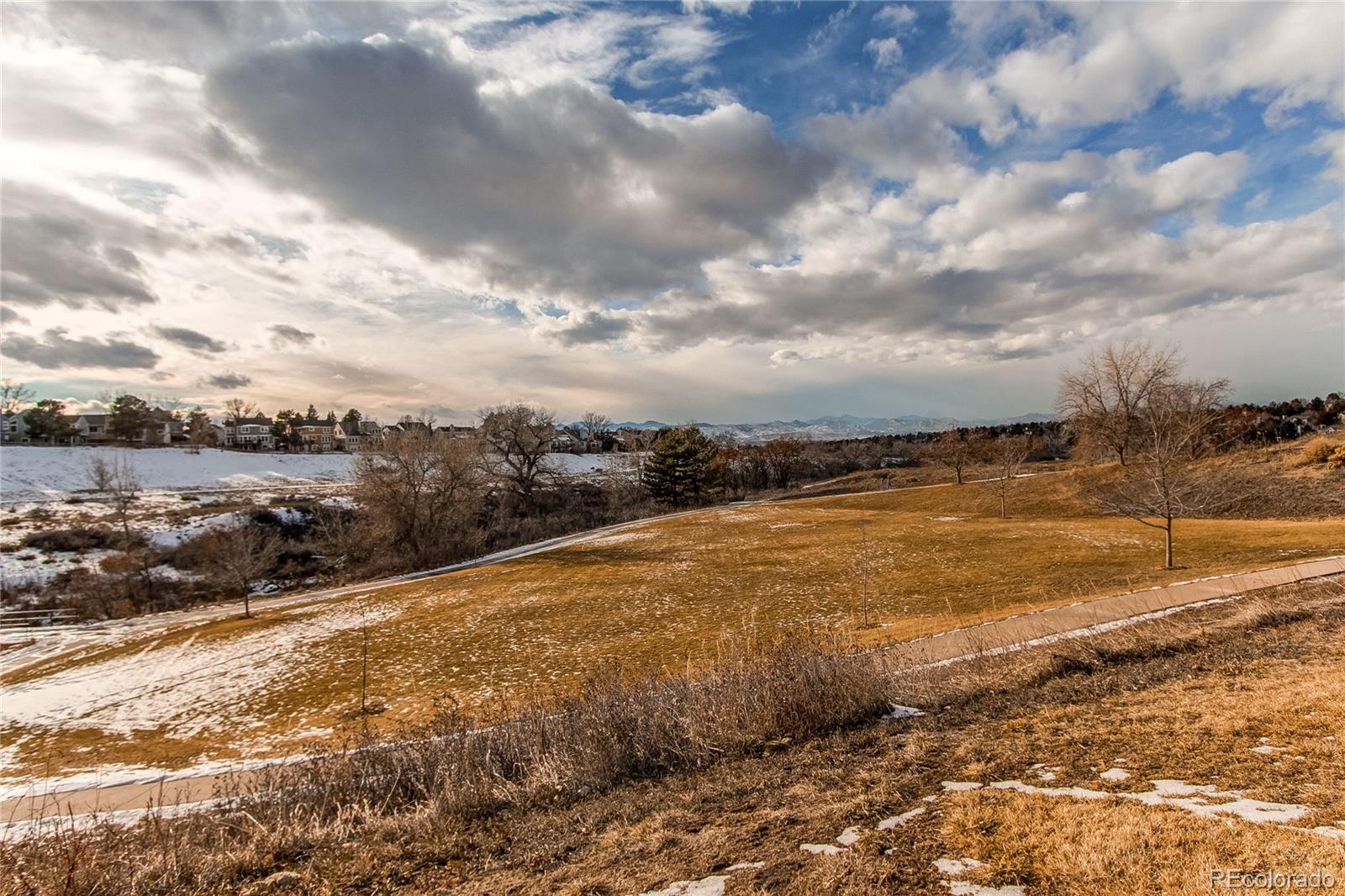 MLS Image #32 for 8855  green meadows drive,highlands ranch, Colorado