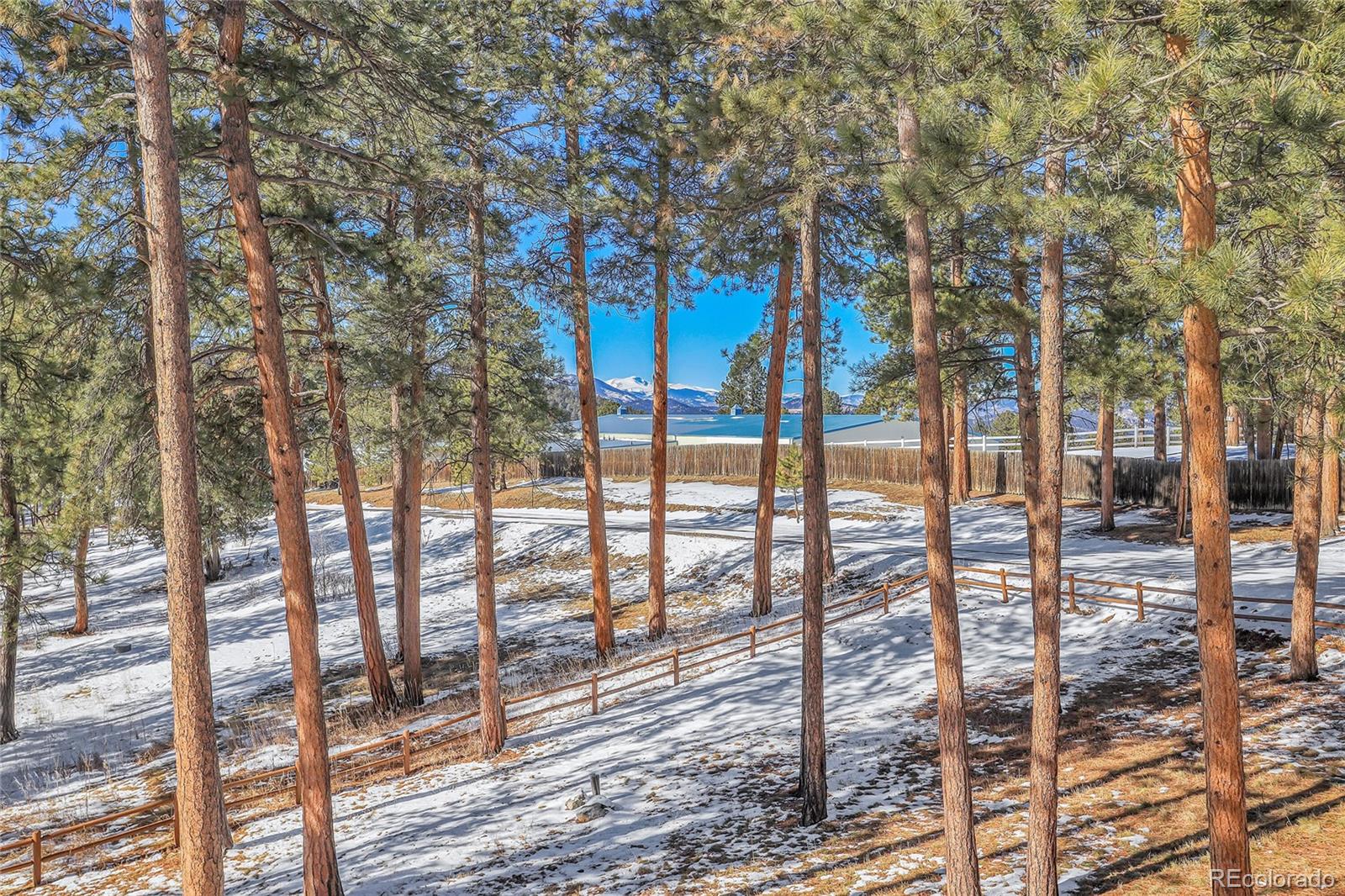 MLS Image #19 for 23148  pawnee road,indian hills, Colorado