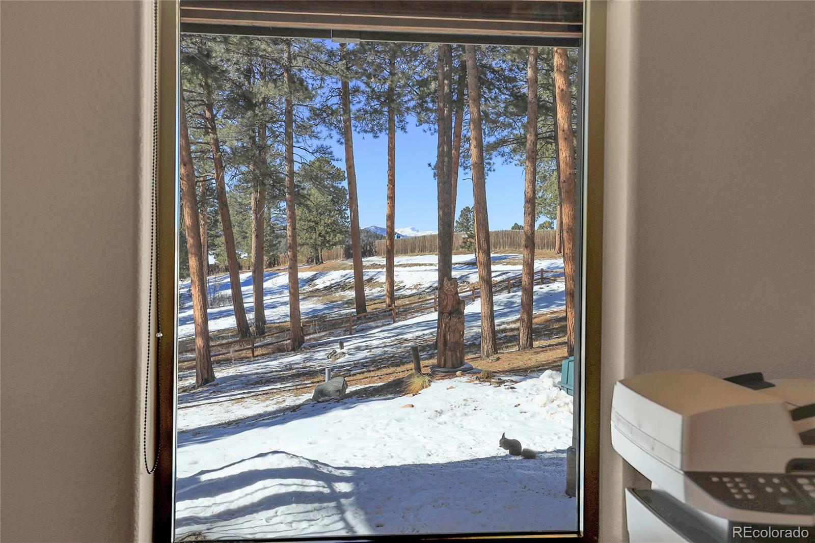 MLS Image #35 for 23148  pawnee road,indian hills, Colorado