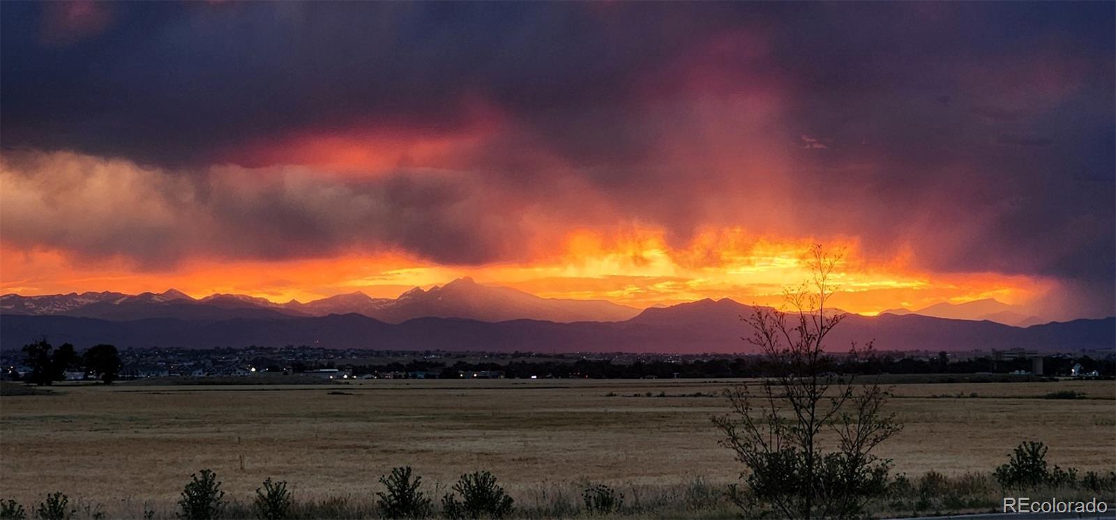 MLS Image #0 for 1757  papuan court,brighton, Colorado