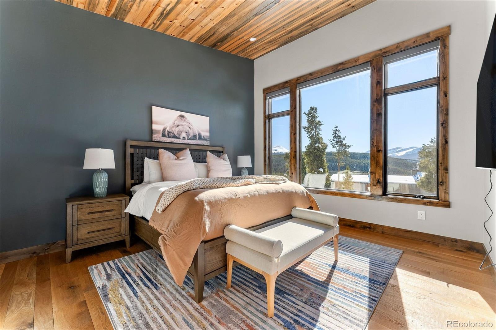 MLS Image #12 for 1259  baldy road,breckenridge, Colorado