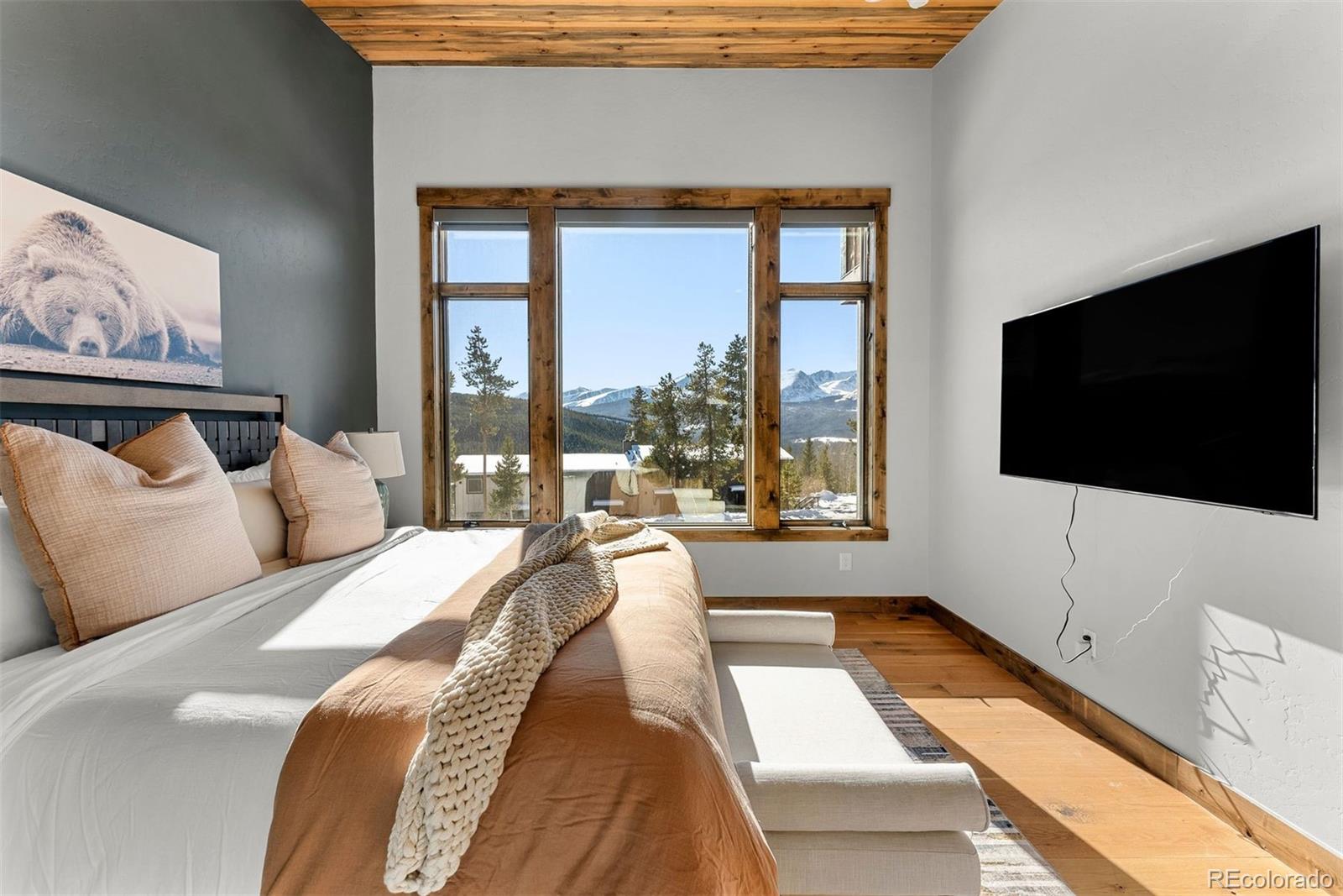 MLS Image #13 for 1259  baldy road,breckenridge, Colorado