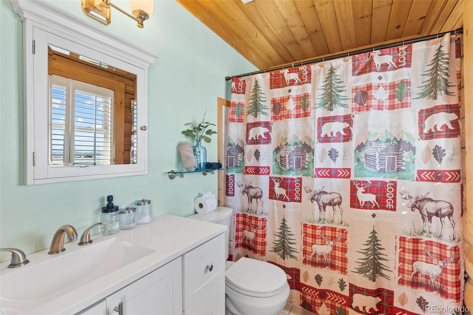 MLS Image #22 for 4888  co road 5 ,fairplay, Colorado