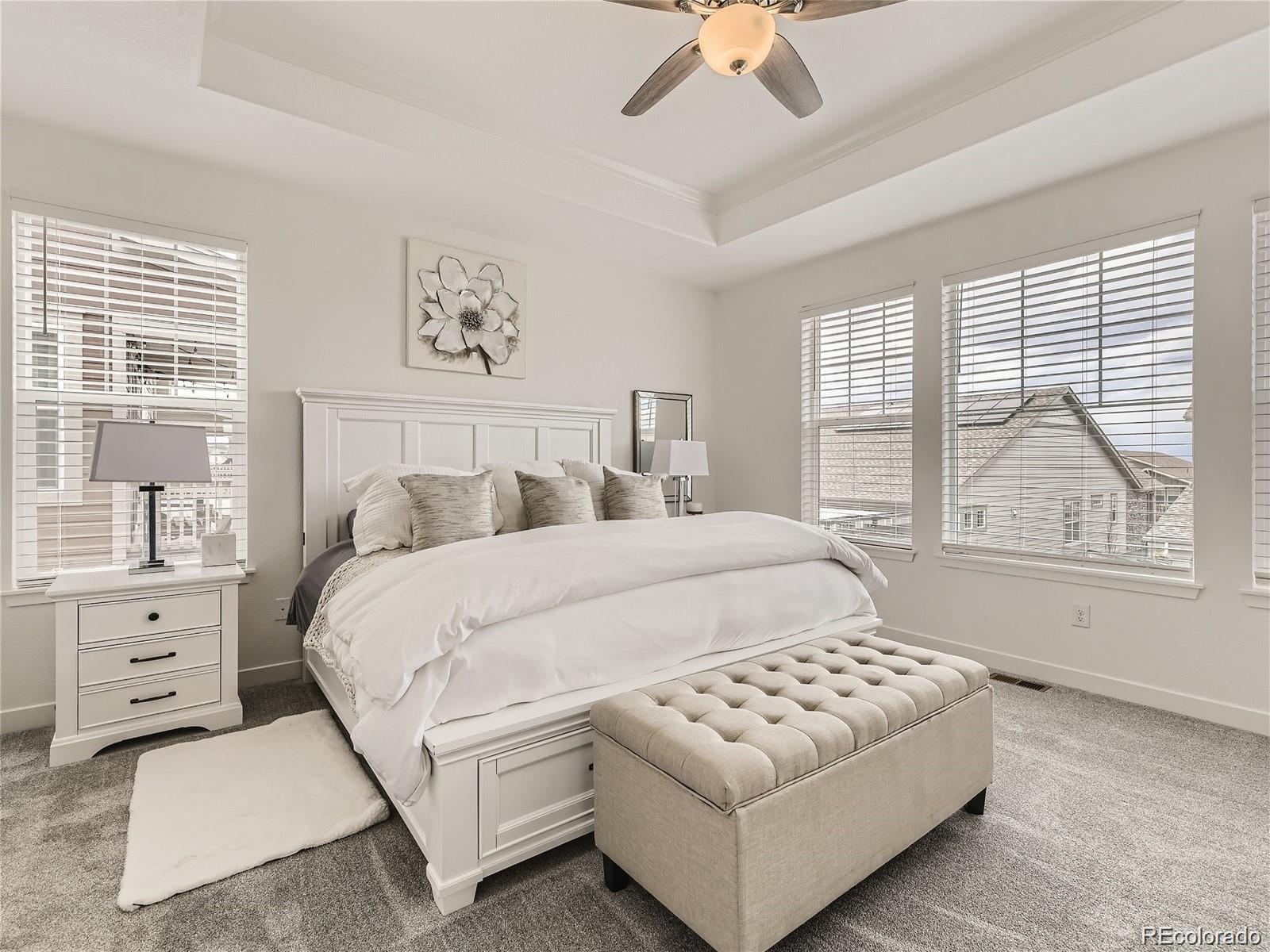MLS Image #14 for 8803 s winnipeg court,aurora, Colorado