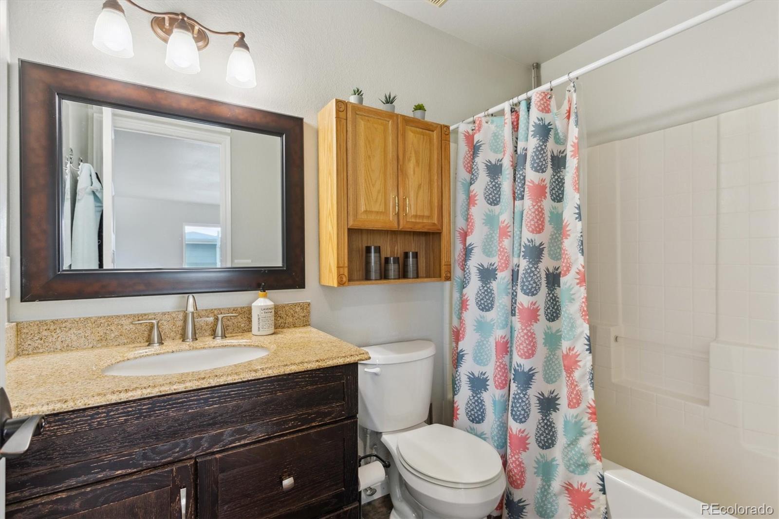 MLS Image #27 for 5149 s malta way,centennial, Colorado