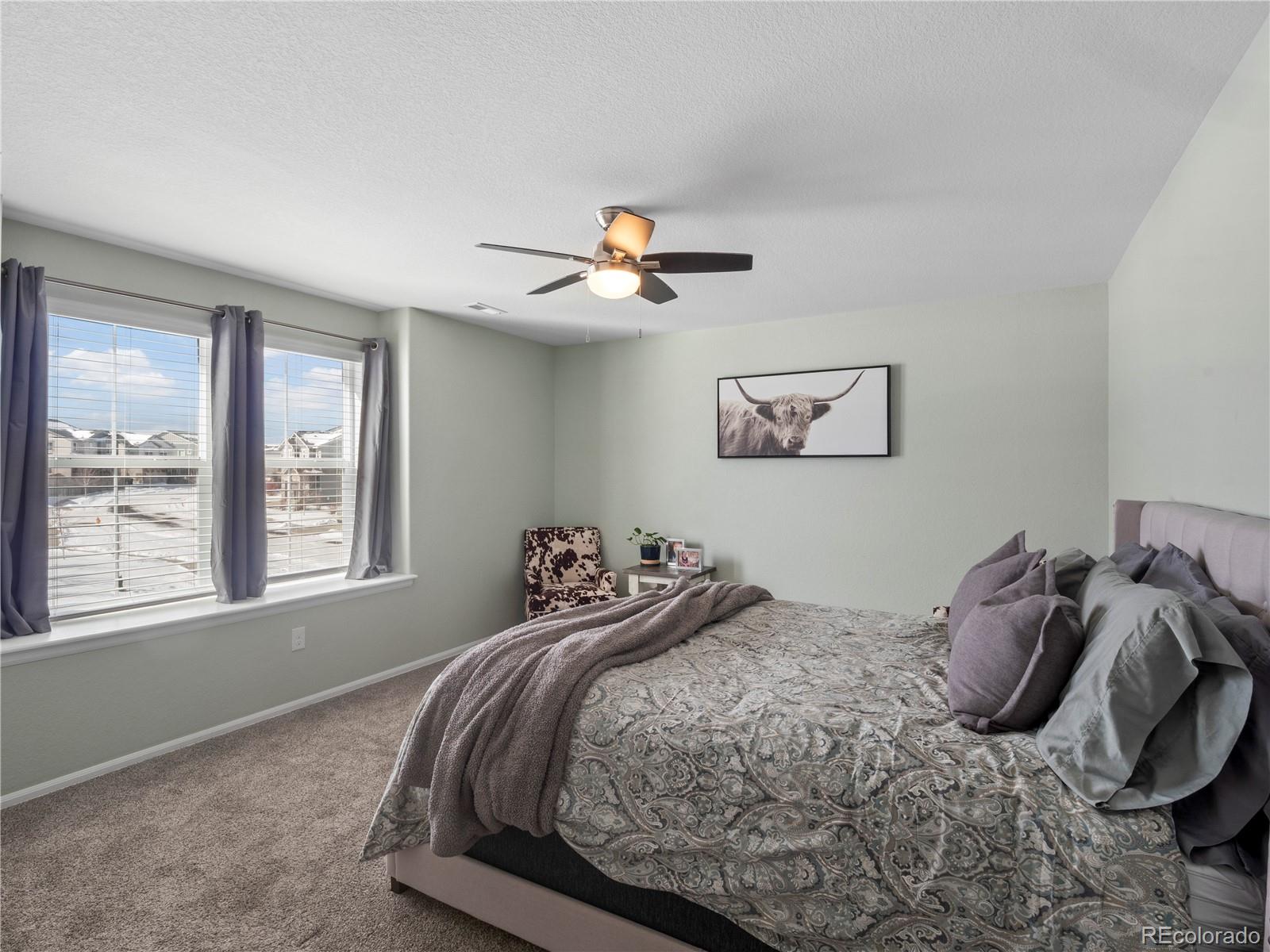 MLS Image #21 for 3260  jonquil street,castle rock, Colorado