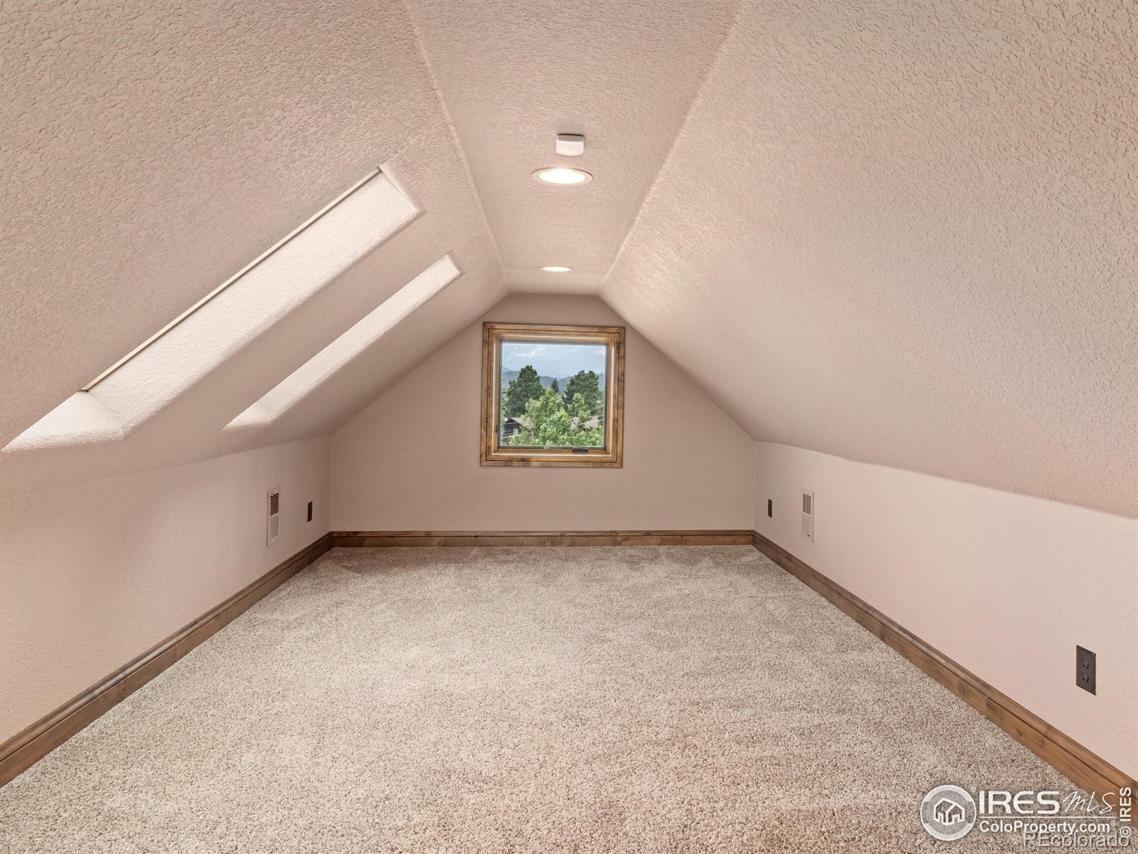 MLS Image #31 for 1740 n ridge lane,estes park, Colorado