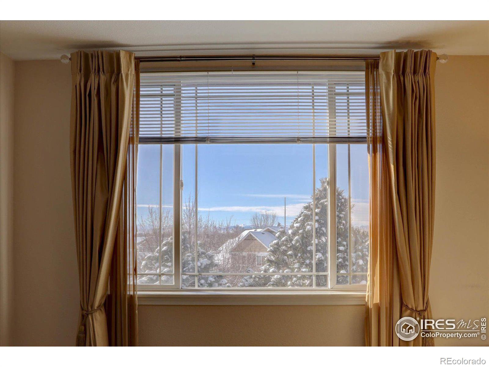 MLS Image #11 for 804  summer hawk drive,longmont, Colorado