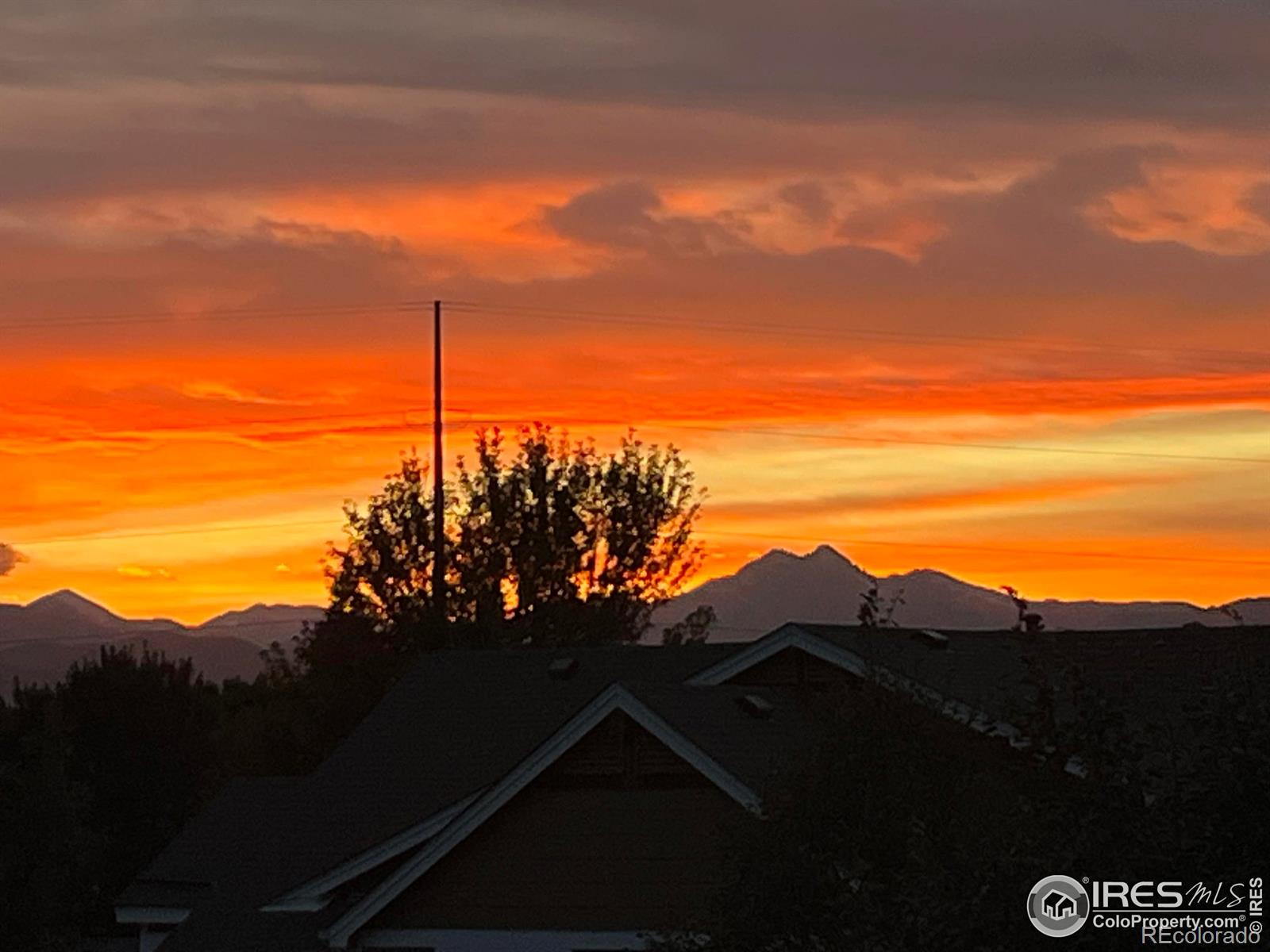 MLS Image #24 for 804  summer hawk drive,longmont, Colorado