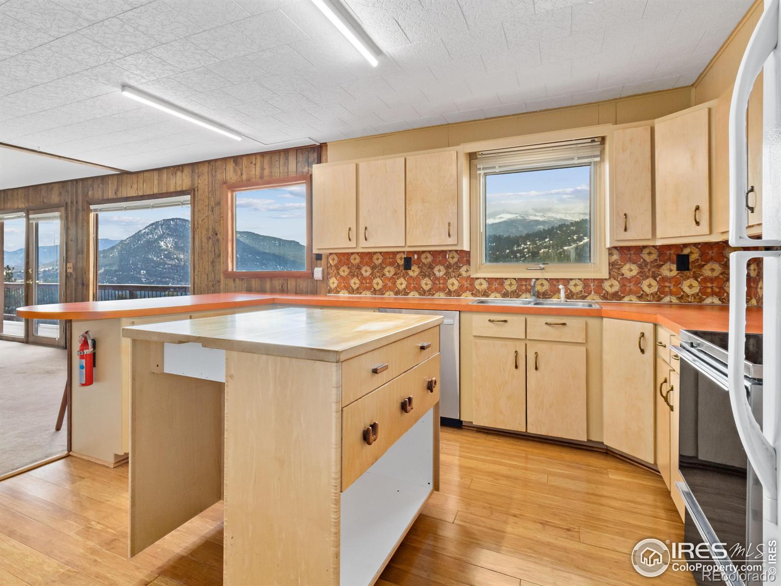 MLS Image #10 for 2330  penstemon drive,estes park, Colorado