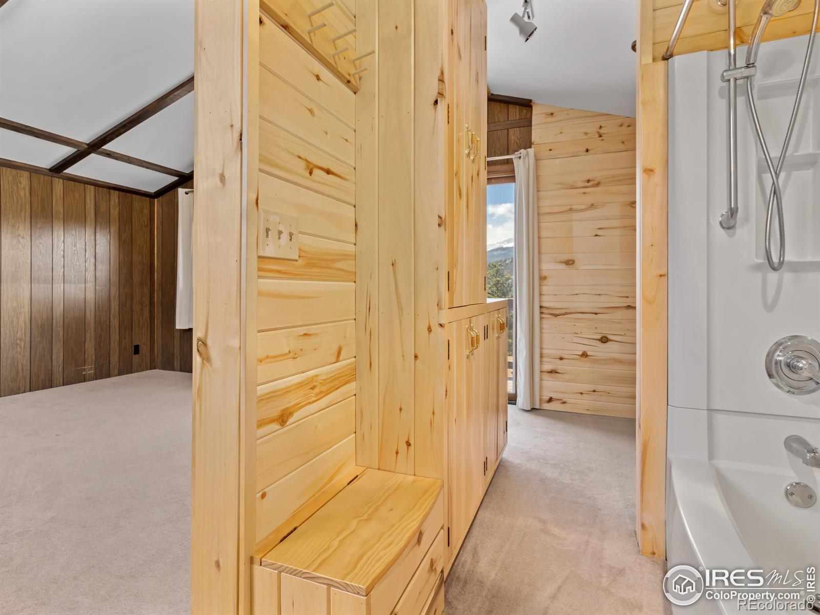 MLS Image #24 for 2330  penstemon drive,estes park, Colorado