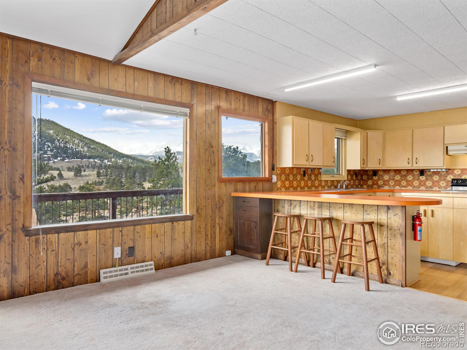 MLS Image #8 for 2330  penstemon drive,estes park, Colorado