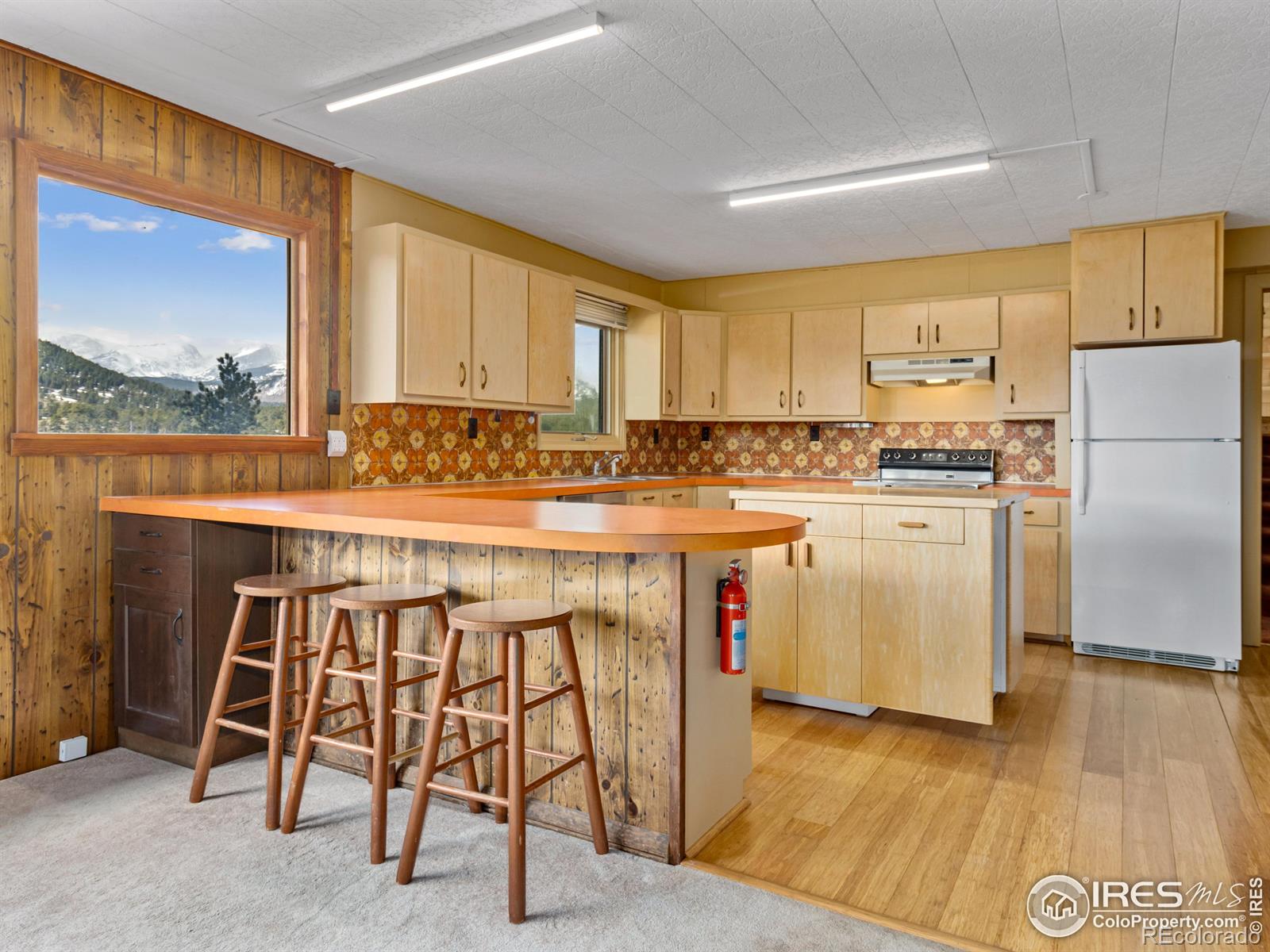 MLS Image #9 for 2330  penstemon drive,estes park, Colorado