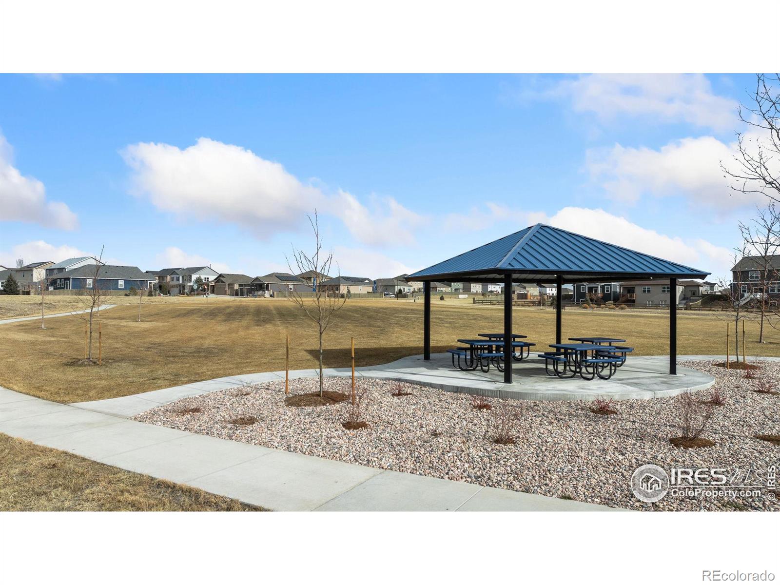 MLS Image #18 for 475  3rd street,severance, Colorado