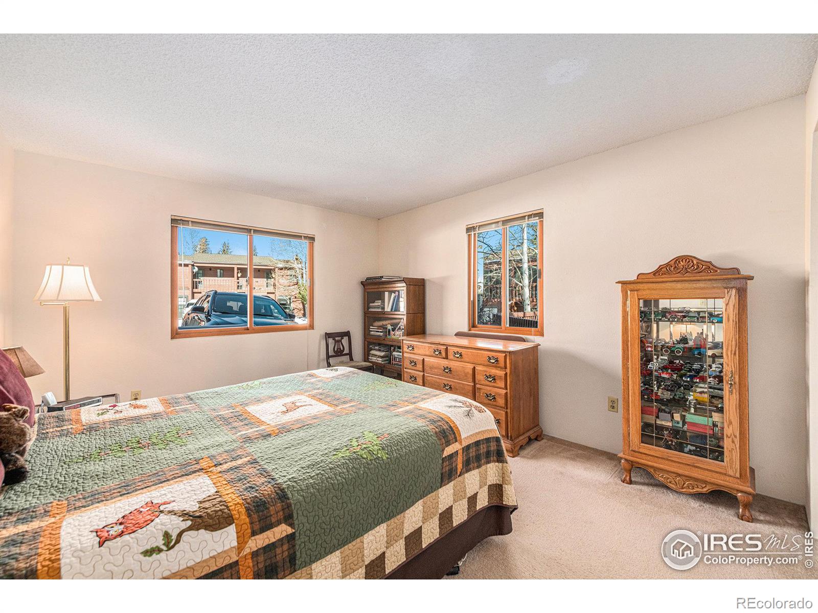 MLS Image #15 for 1050 s saint vrain avenue,estes park, Colorado