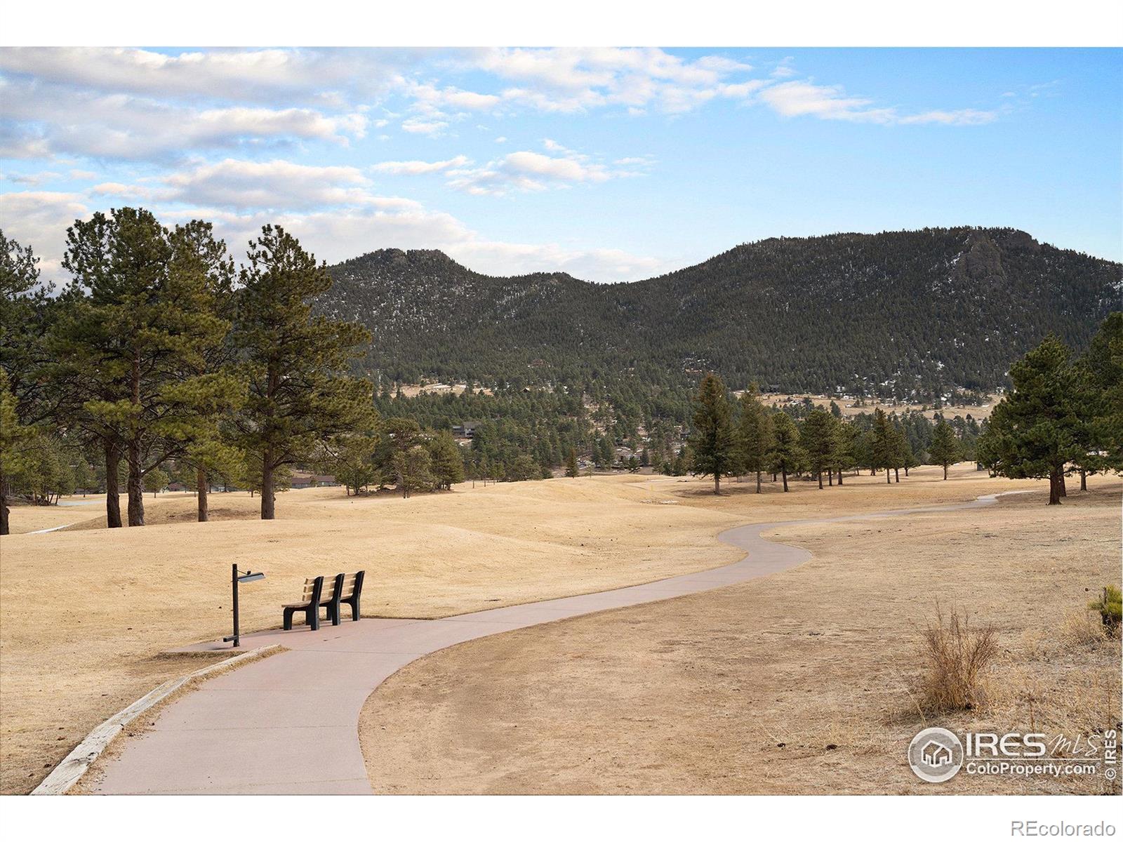 MLS Image #26 for 1050 s saint vrain avenue,estes park, Colorado