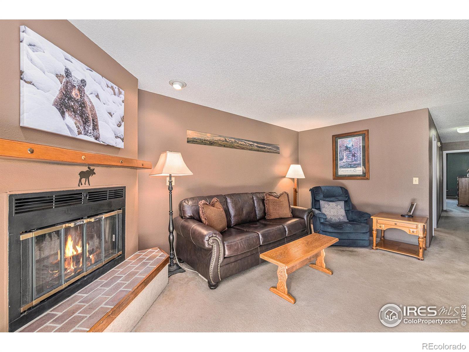 MLS Image #5 for 1050 s saint vrain avenue,estes park, Colorado