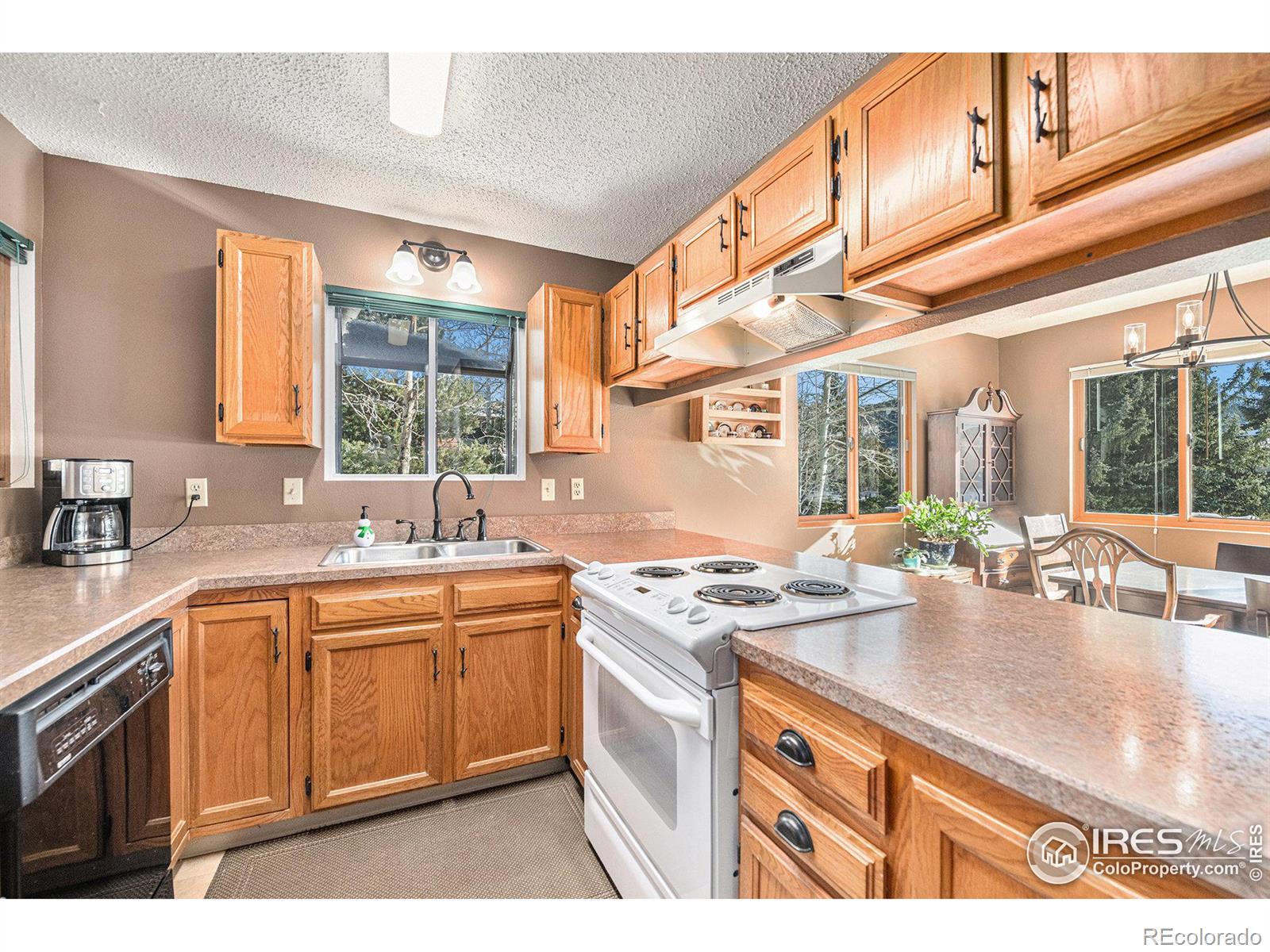 MLS Image #6 for 1050 s saint vrain avenue,estes park, Colorado