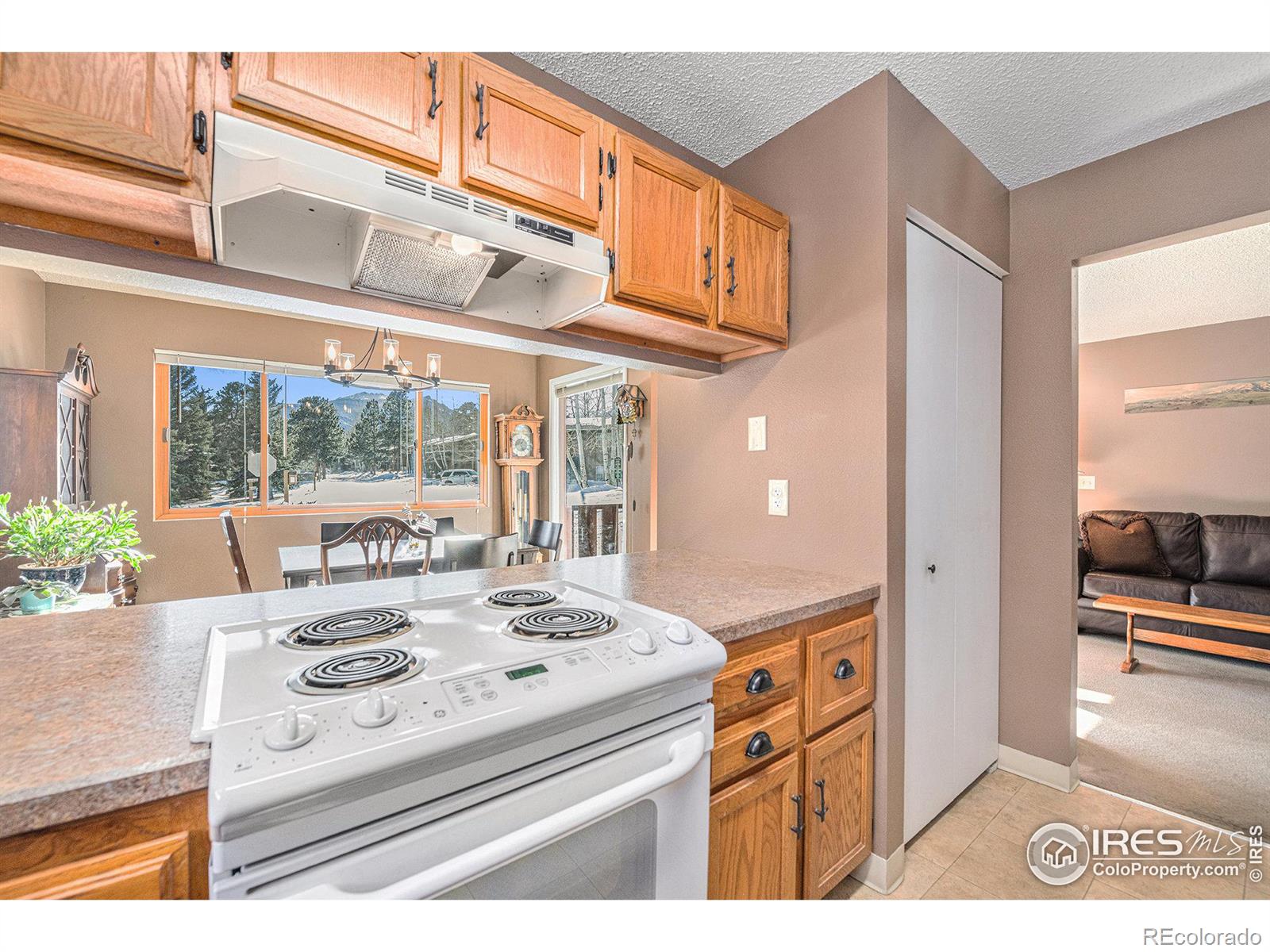 MLS Image #8 for 1050 s saint vrain avenue,estes park, Colorado