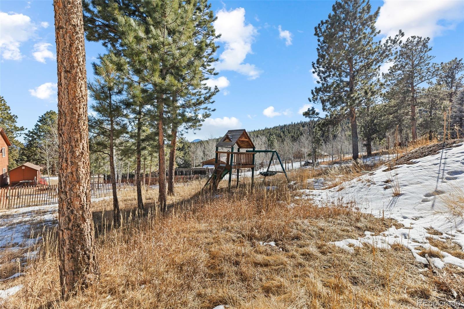 MLS Image #43 for 44  pinion road,bailey, Colorado