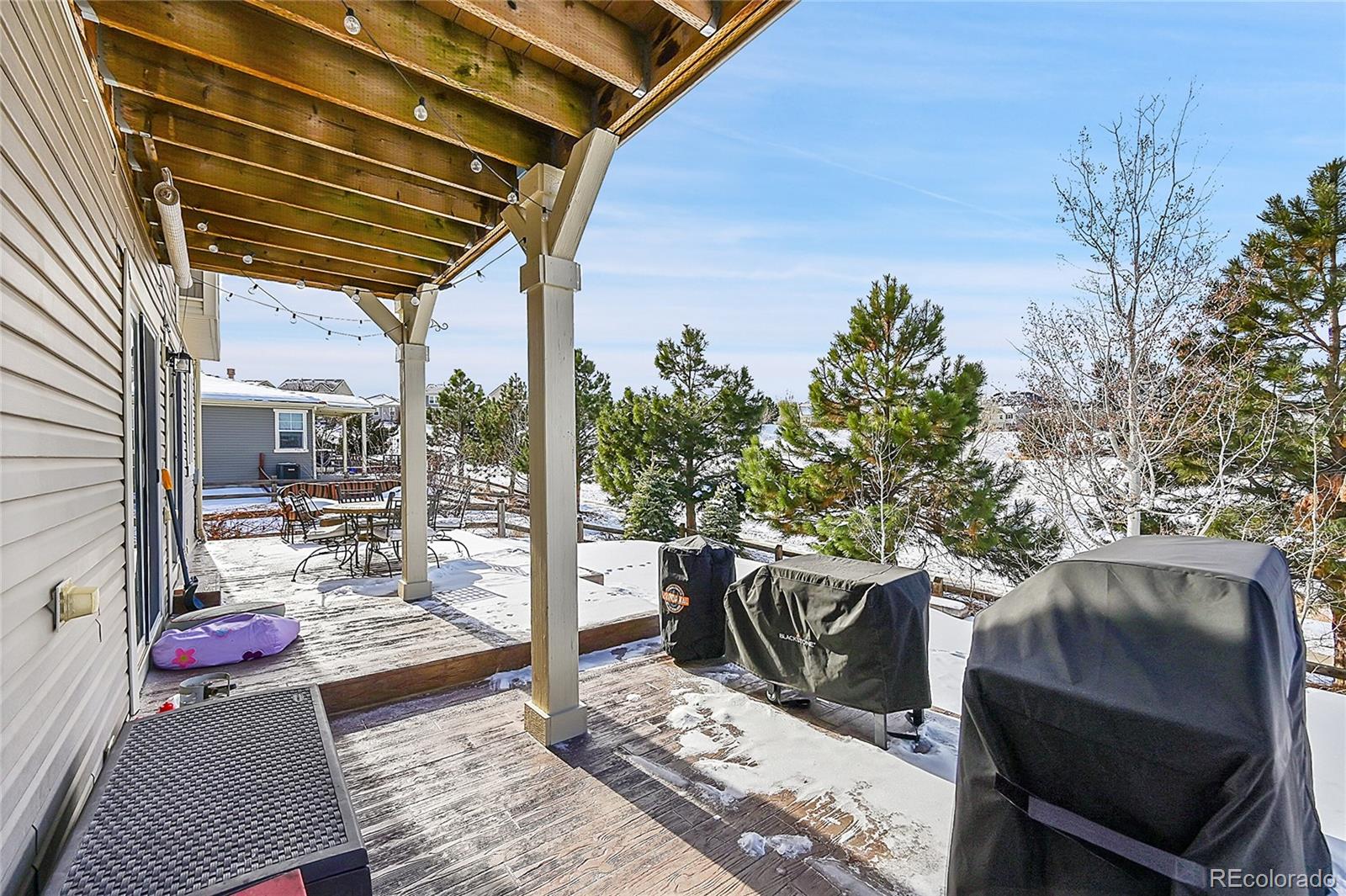 MLS Image #39 for 2229  candleglow street,castle rock, Colorado