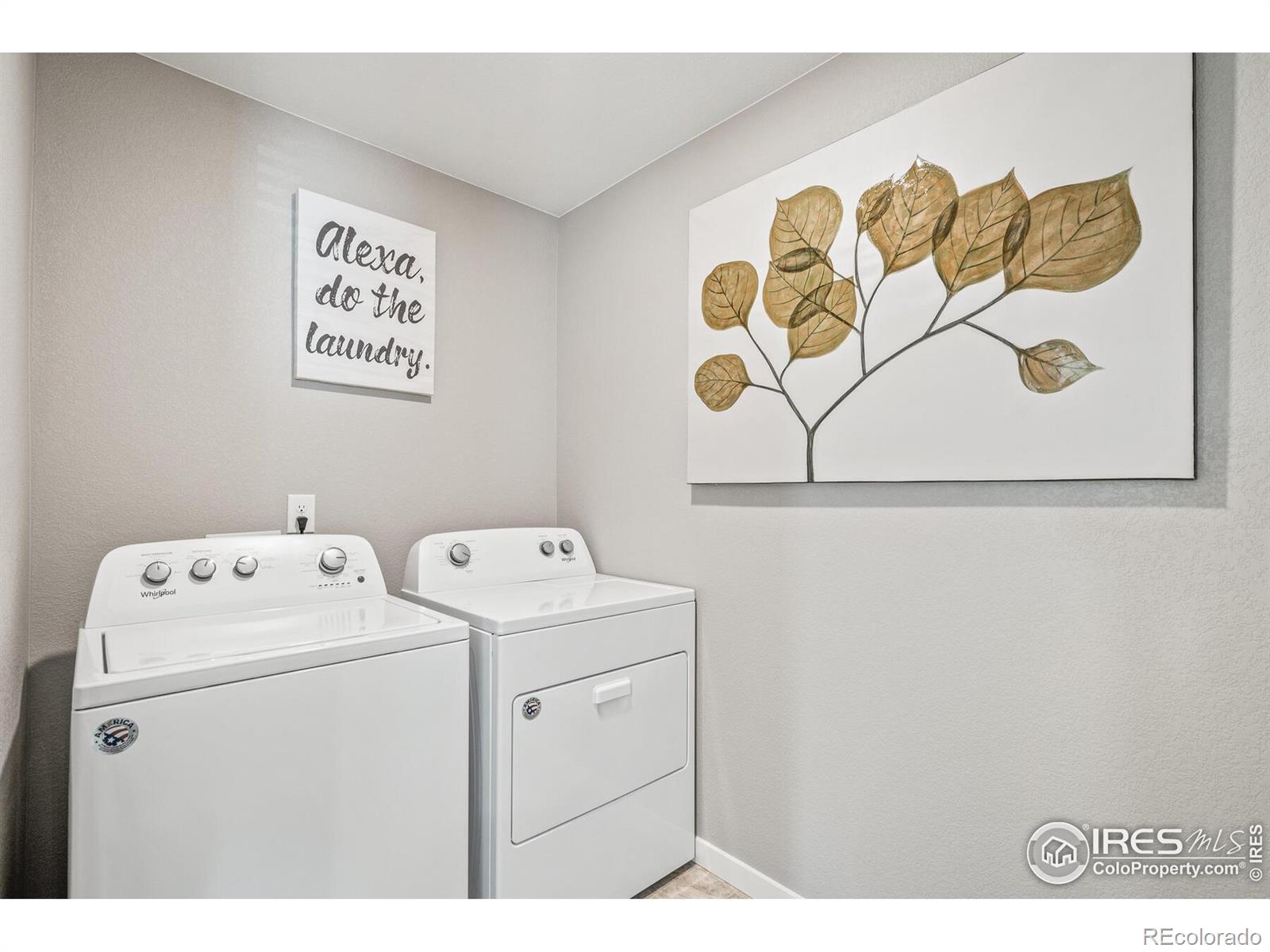 MLS Image #27 for 4978  buelingo drive,windsor, Colorado