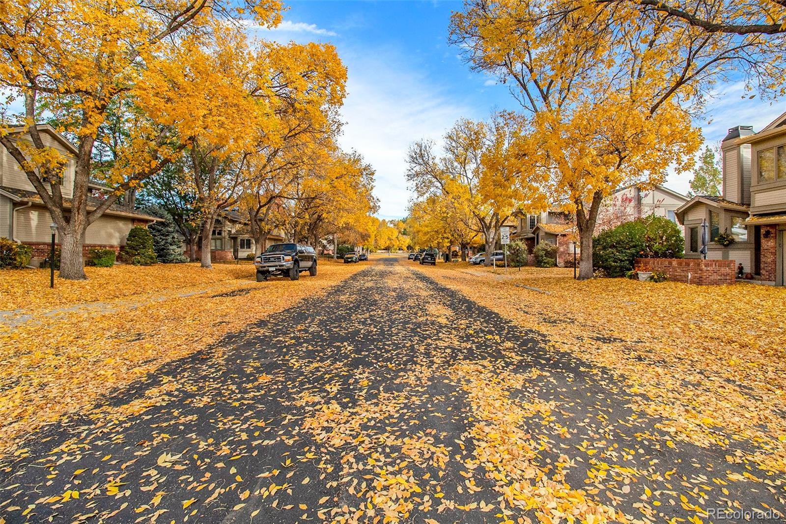 MLS Image #2 for 5202  union court,arvada, Colorado