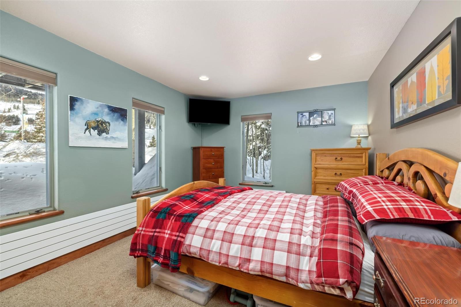 MLS Image #15 for 20  uneva place,copper mountain, Colorado