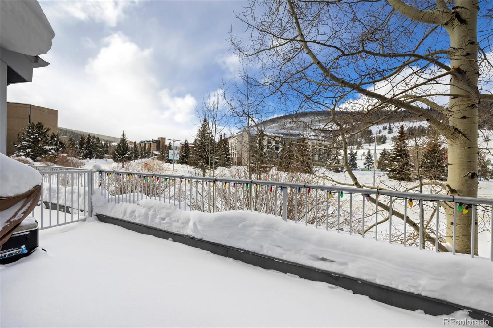 MLS Image #22 for 20  uneva place,copper mountain, Colorado