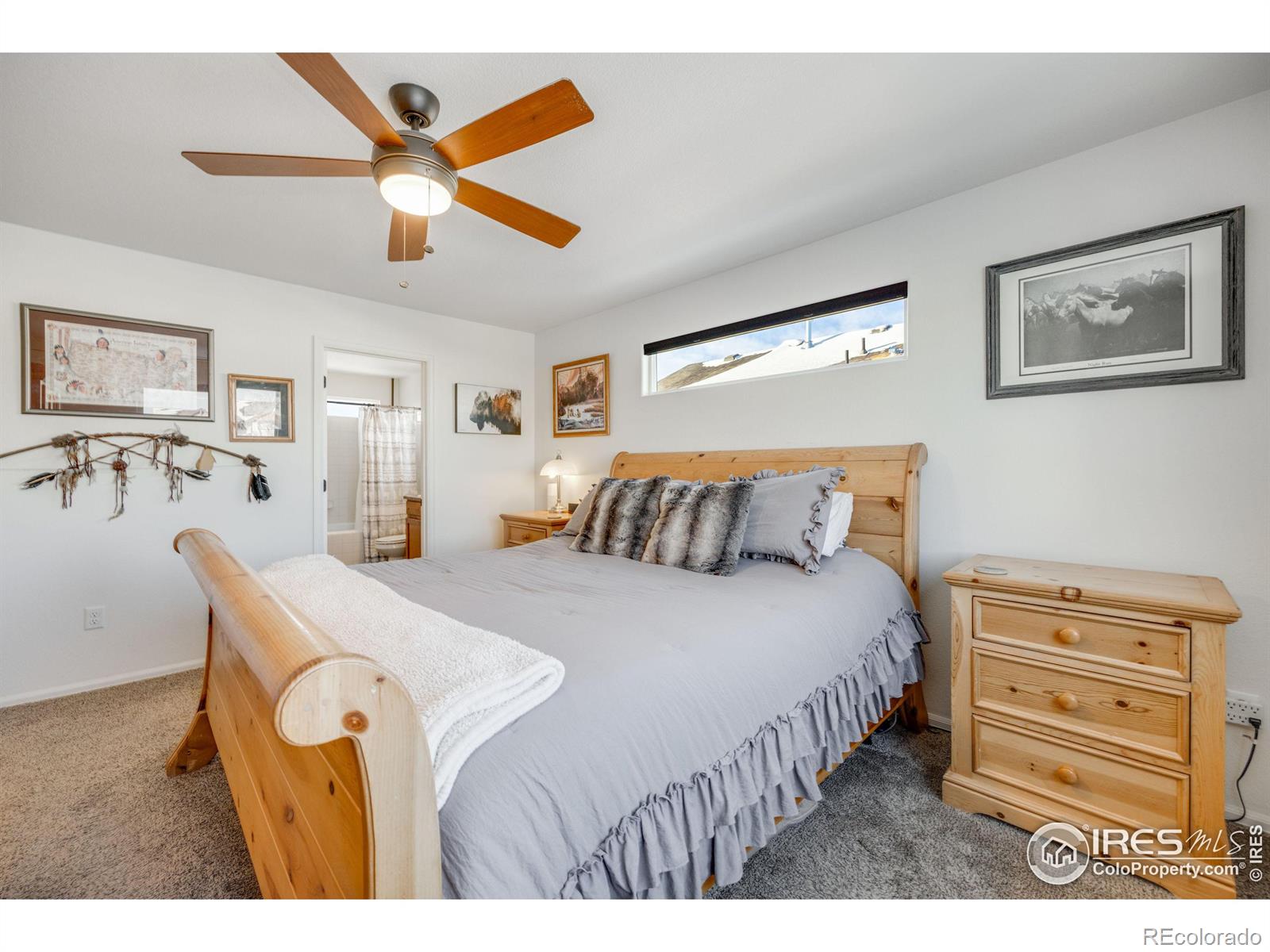 MLS Image #22 for 344  mt bross avenue,severance, Colorado