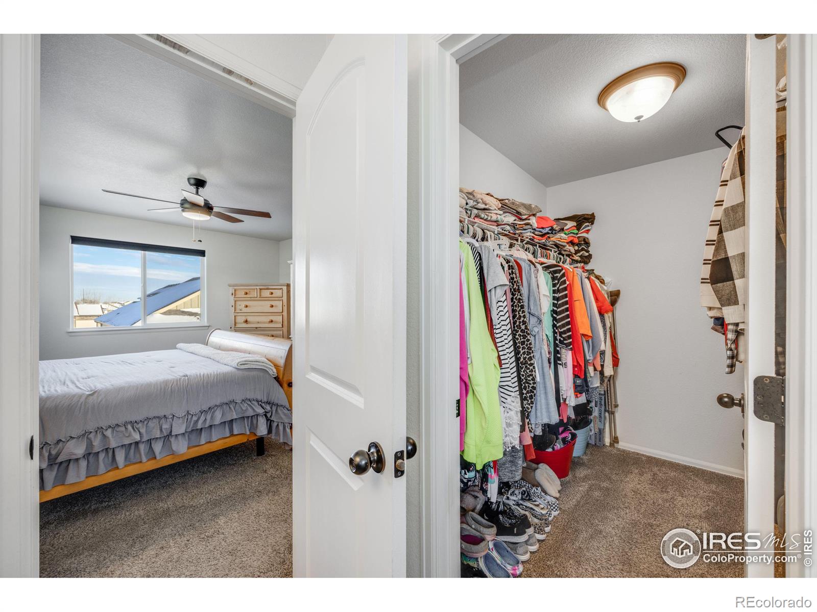 MLS Image #24 for 344  mt bross avenue,severance, Colorado