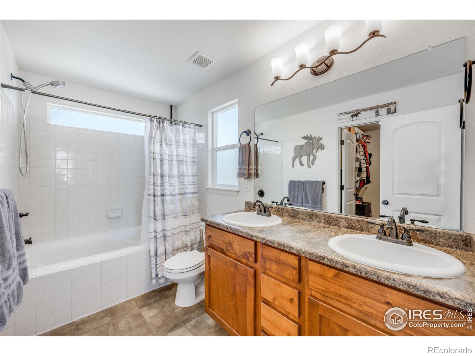 MLS Image #25 for 344  mt bross avenue,severance, Colorado