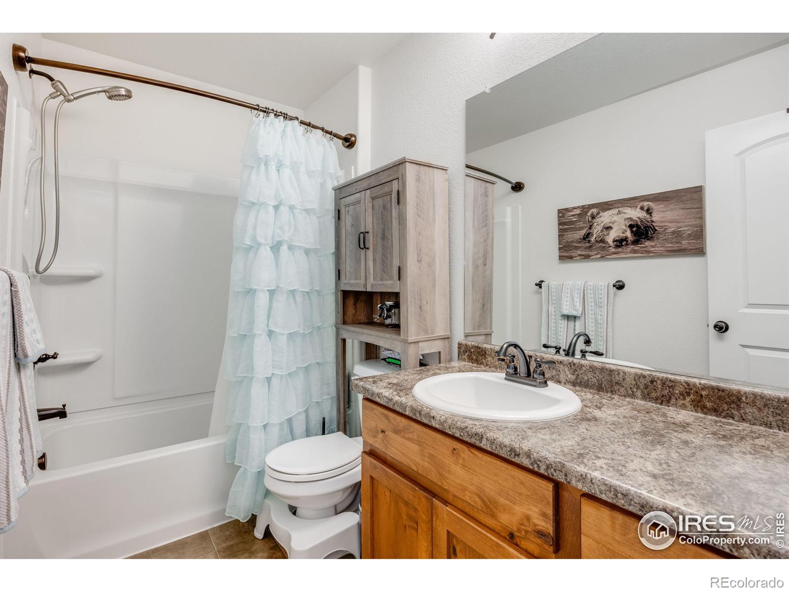 MLS Image #28 for 344  mt bross avenue,severance, Colorado