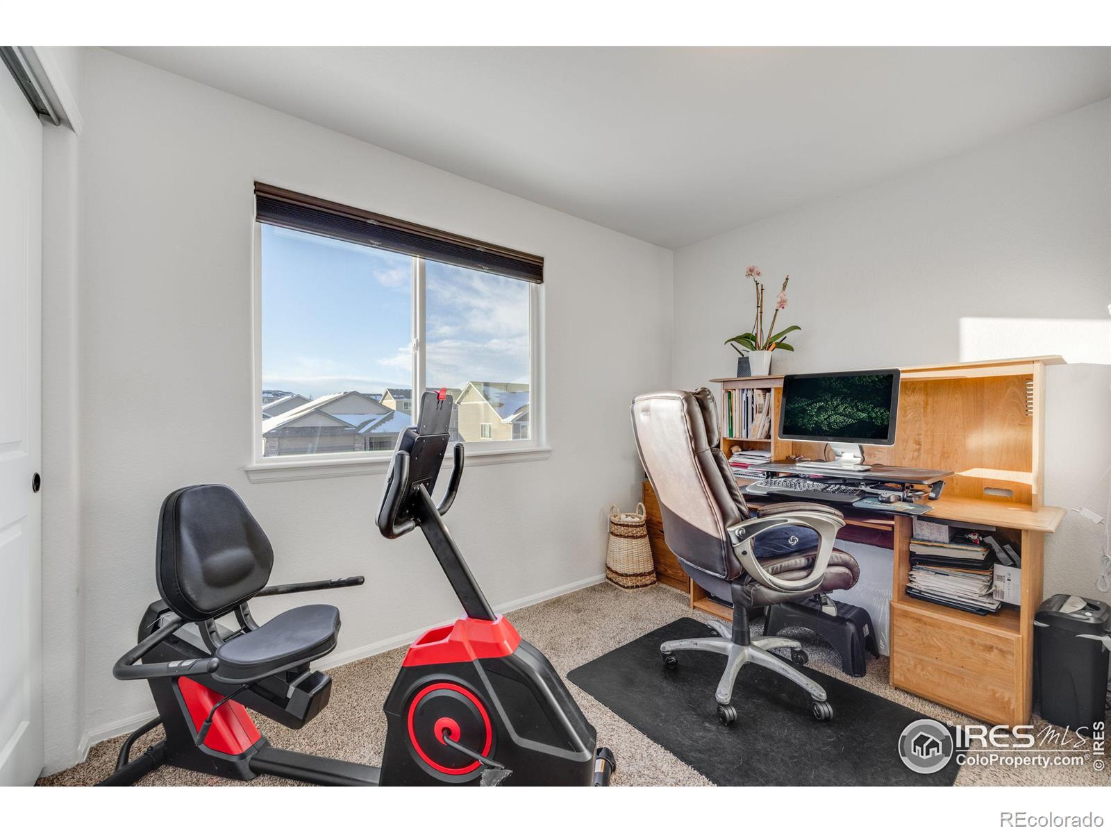 MLS Image #30 for 344  mt bross avenue,severance, Colorado