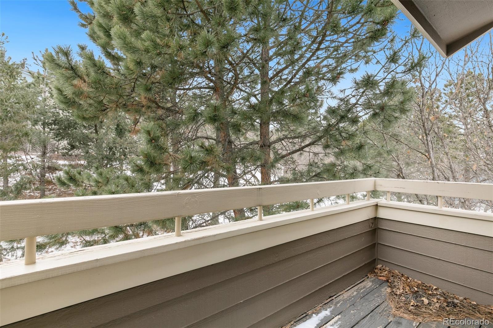 MLS Image #36 for 1055  golden hills road,colorado springs, Colorado