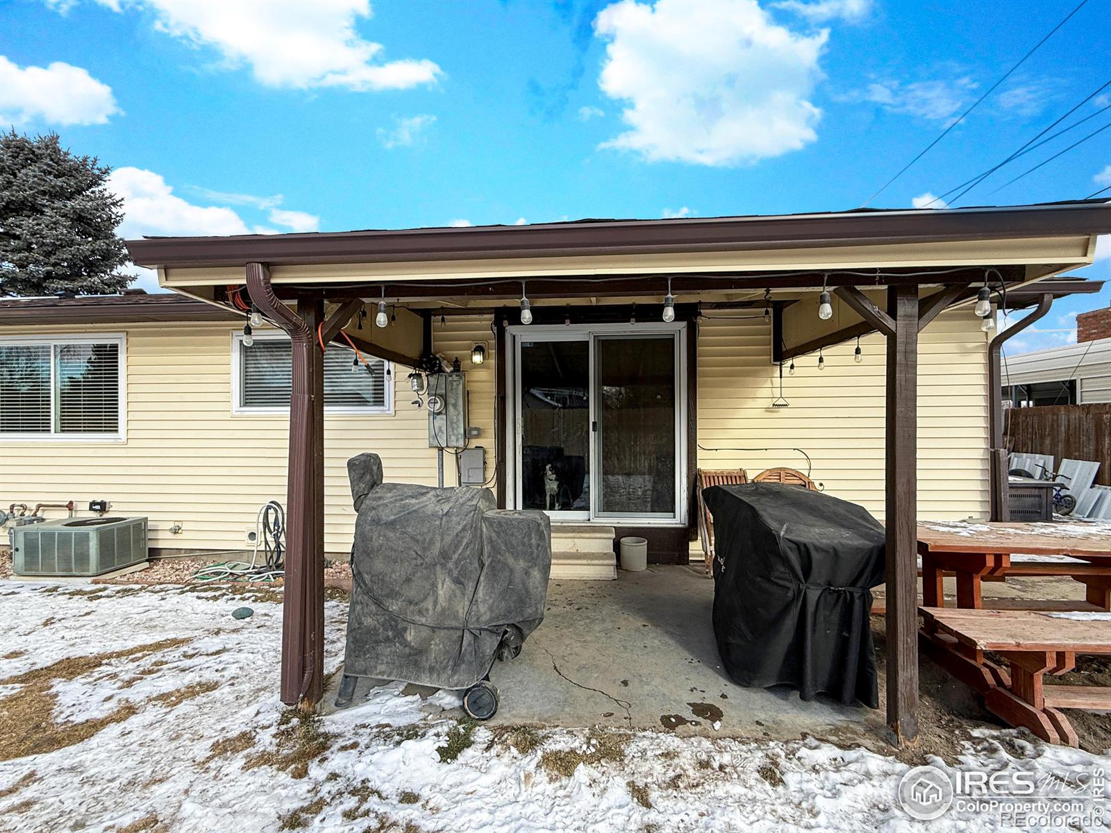 MLS Image #19 for 469  logan street,sterling, Colorado