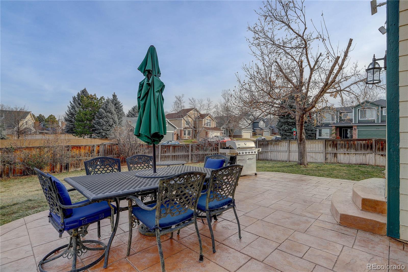 MLS Image #9 for 553  bexley lane,highlands ranch, Colorado