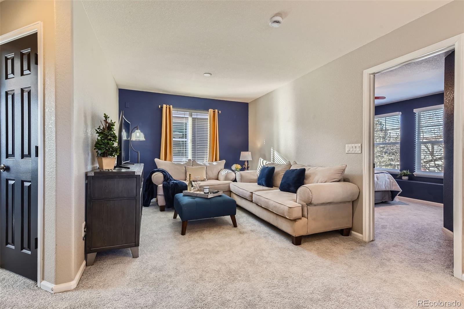 MLS Image #17 for 10778  mountshire circle,highlands ranch, Colorado