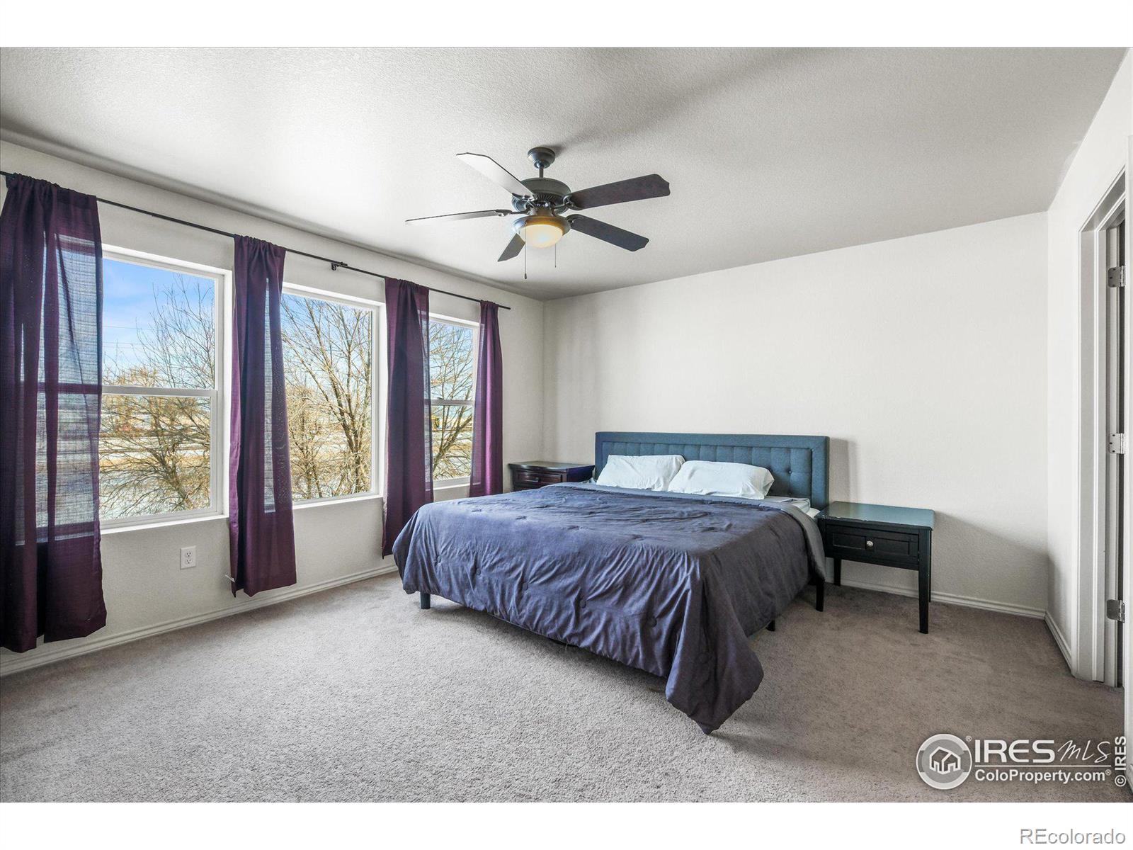 MLS Image #15 for 539  muskegon court,fort collins, Colorado