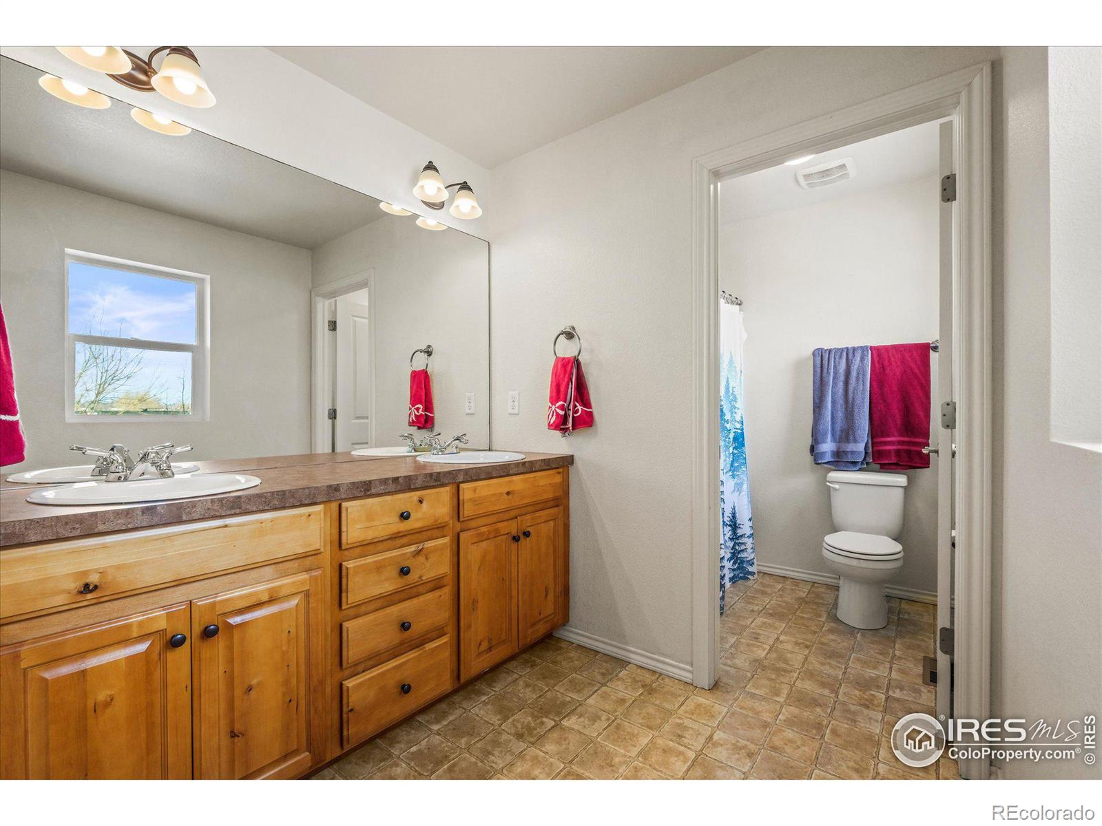 MLS Image #17 for 539  muskegon court,fort collins, Colorado