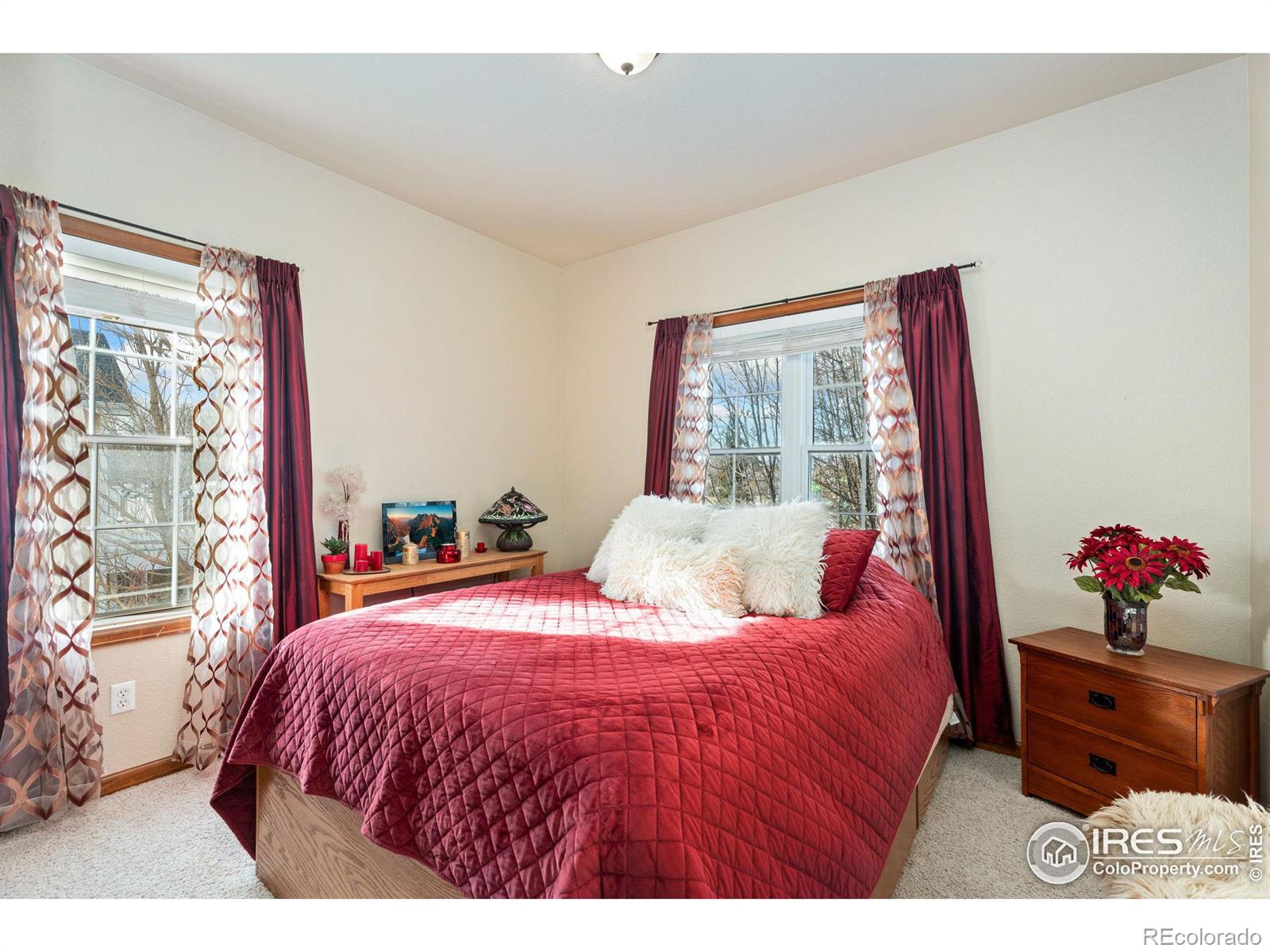 MLS Image #13 for 1115  founders circle,windsor, Colorado