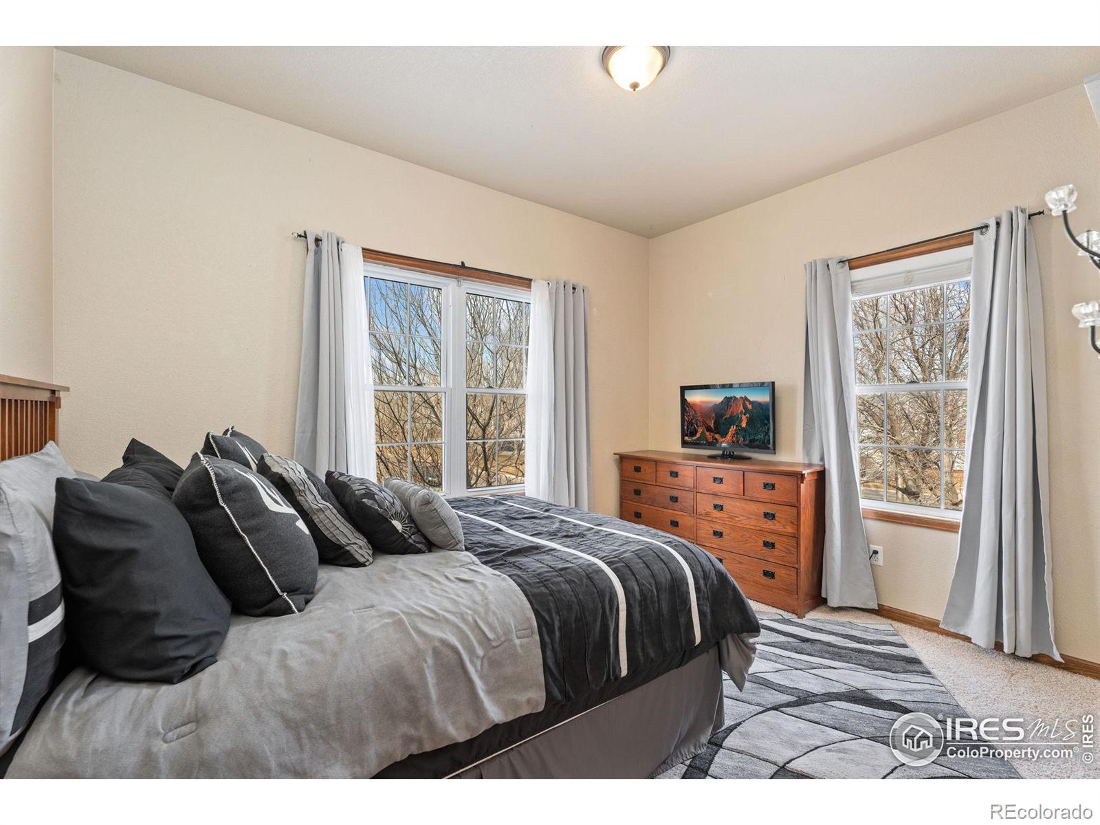 MLS Image #14 for 1115  founders circle,windsor, Colorado