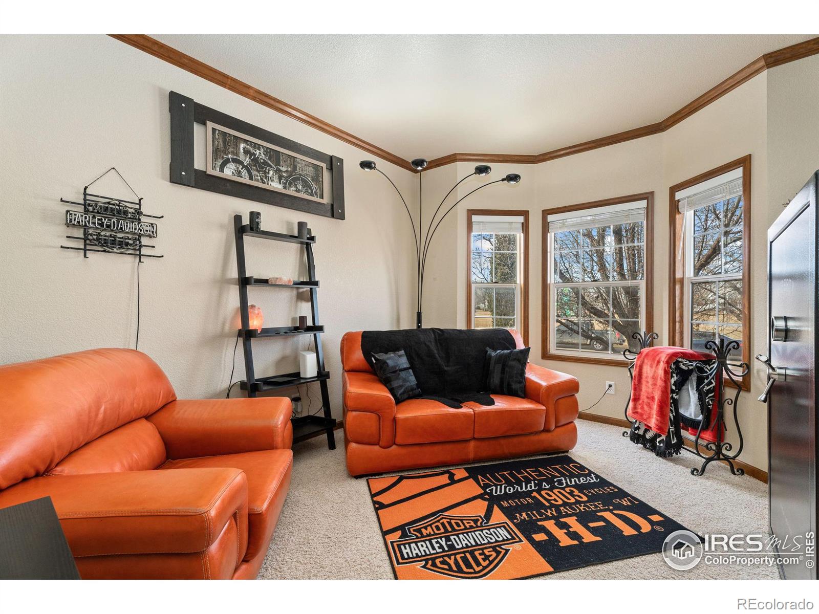 MLS Image #3 for 1115  founders circle,windsor, Colorado